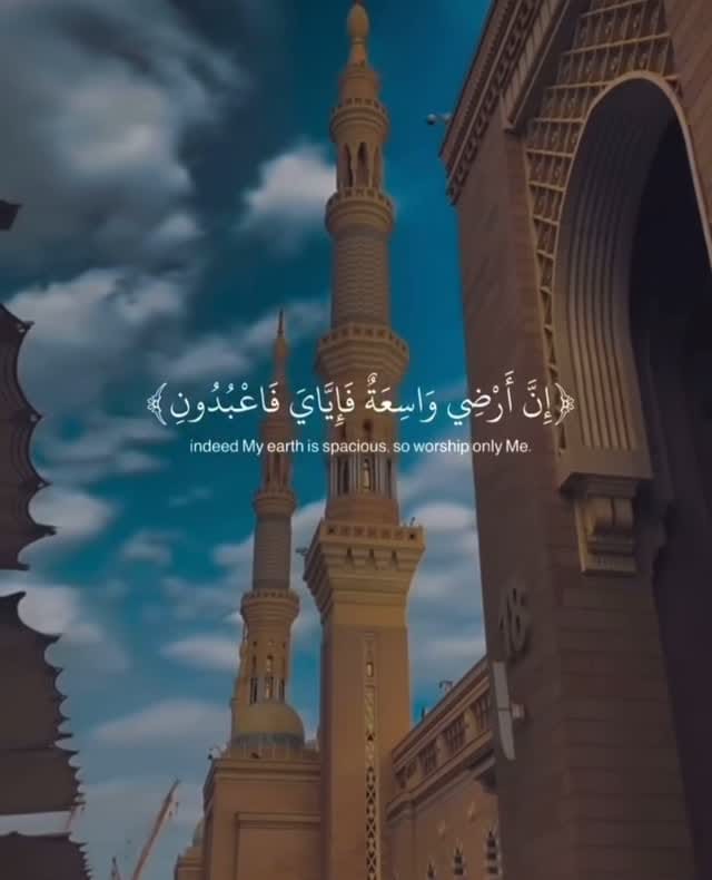 Post 8 by Mahmoud  sayed on Instagram (video)