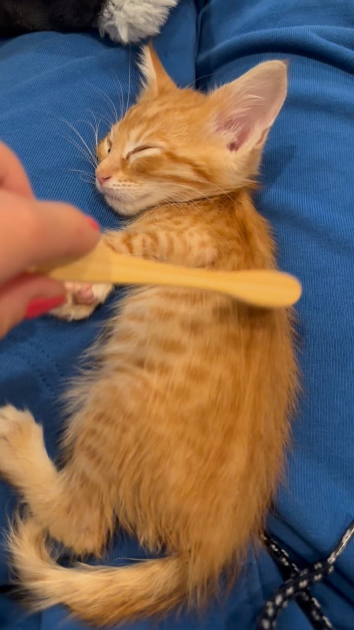 Post 6 by Cule🌸 on Instagram (video)