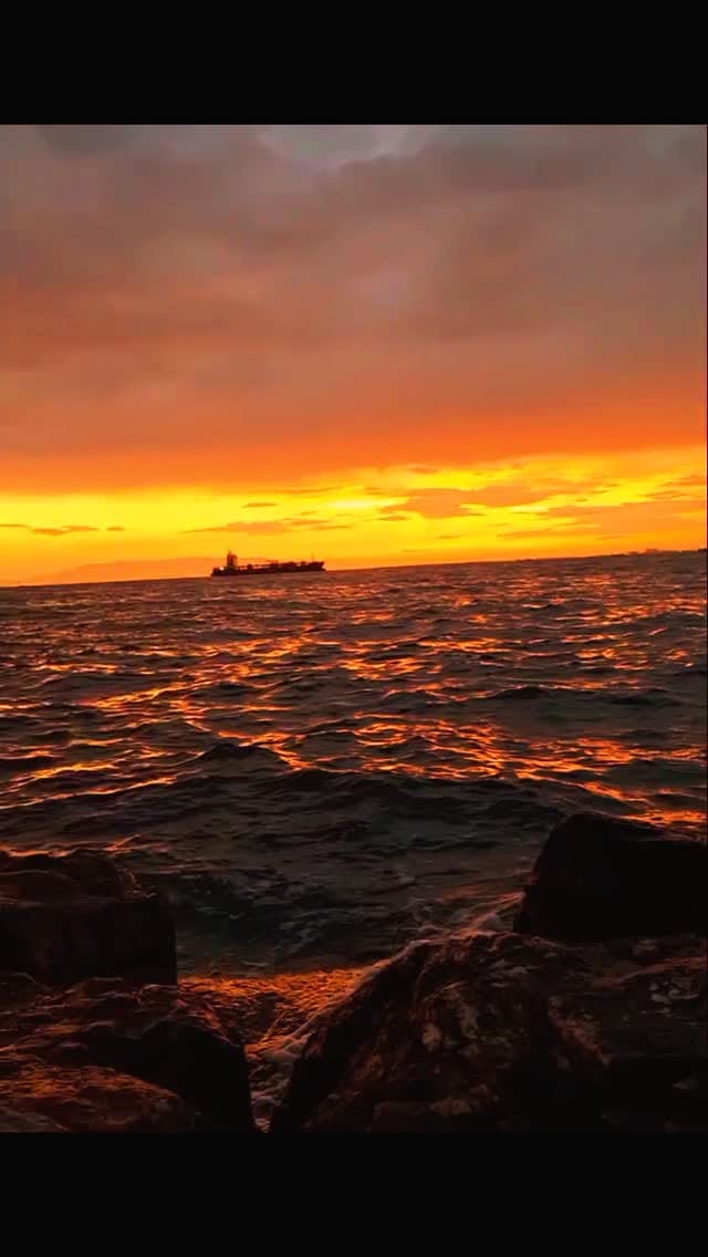 Post 3 by Zeytin Dalı on Instagram (video)
