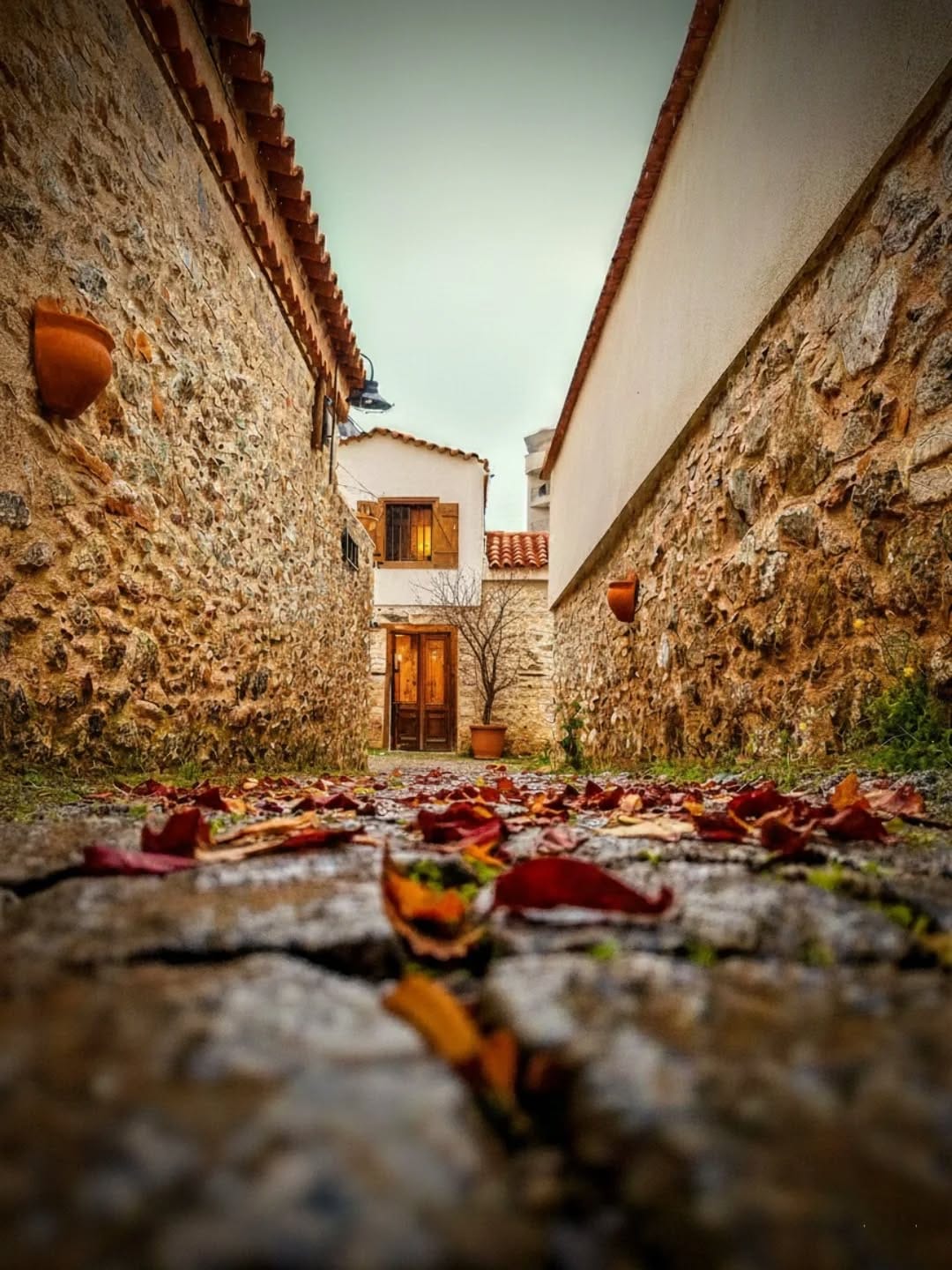 Post 7 by Zeytin Dalı on Instagram (image)