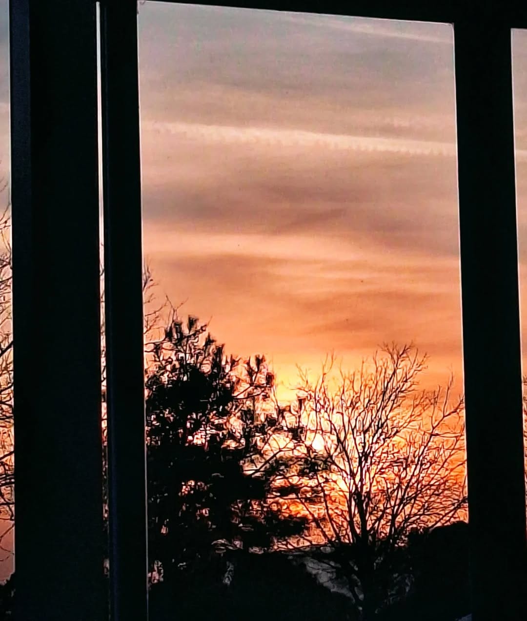Post 10 by Zeytin Dalı on Instagram (image)