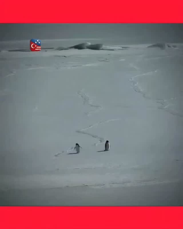 Post 6 by h҉ ü l҉ y҉ a҉   a҉ k҉ t҉ a҉ ş on Instagram (video)