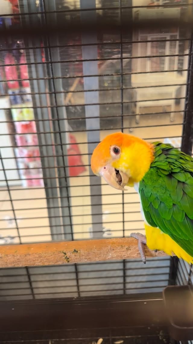 Post 8 by Ertan Işık on Instagram (video)