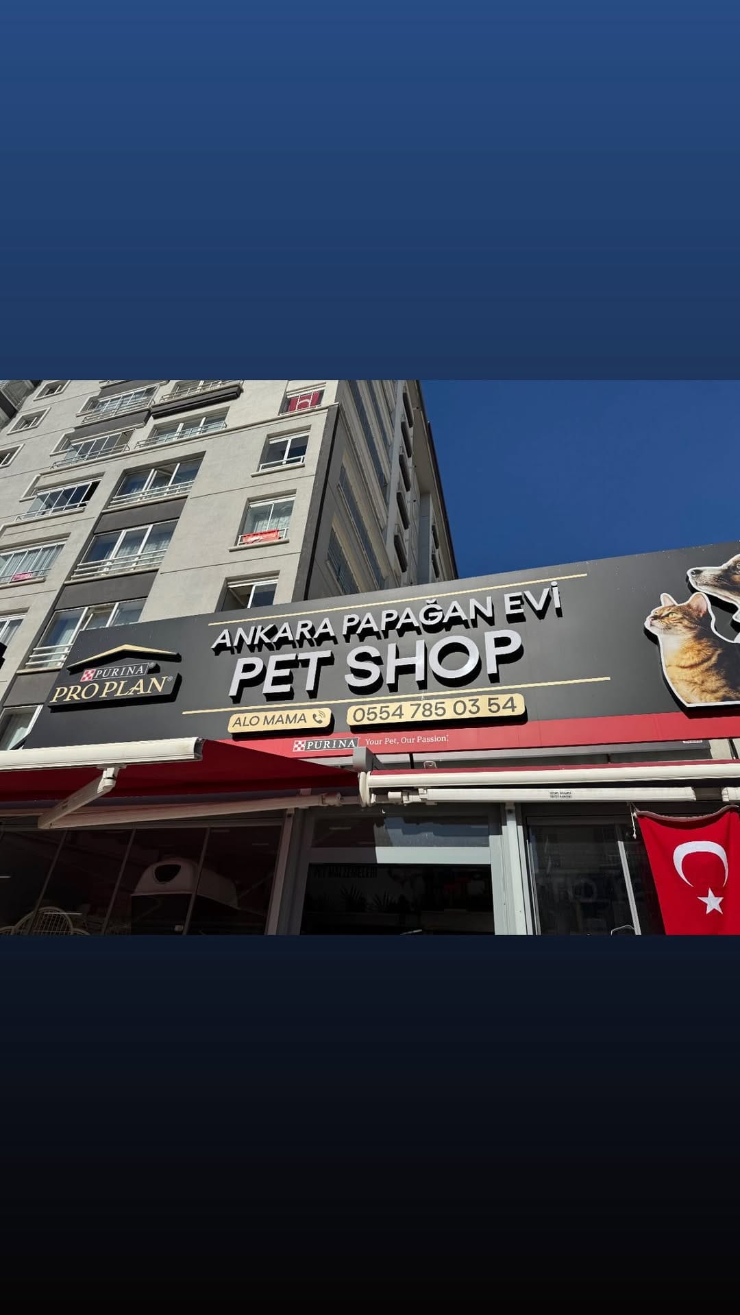 Post 5 by Ertan Işık on Instagram (video)
