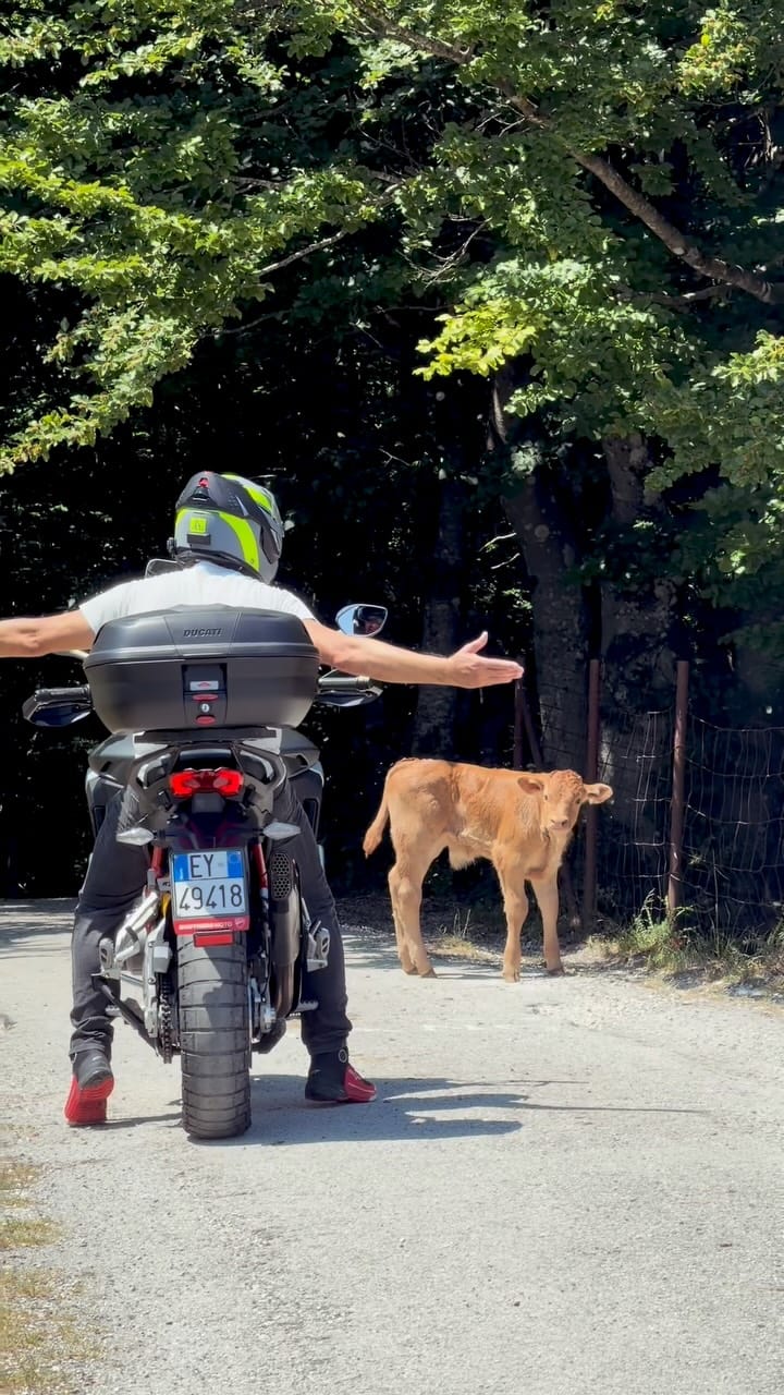 Post 1 by Ｔｈｅｂｉｋｅｒｗｏｍａｎ on Instagram (video)