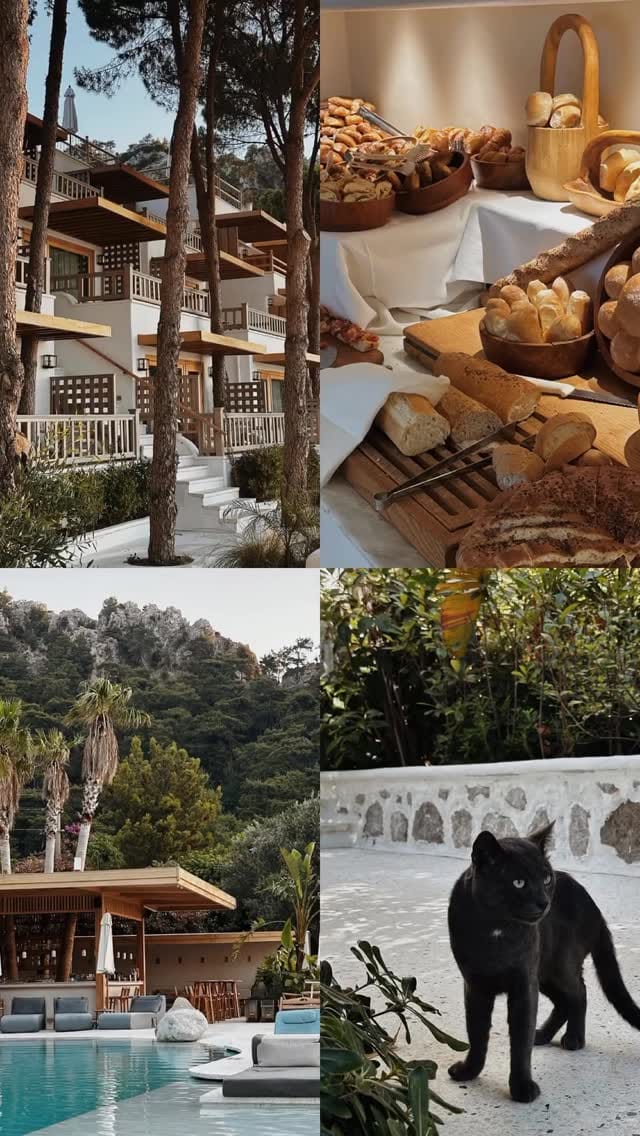 Post 9 by Nihal on Instagram (video)