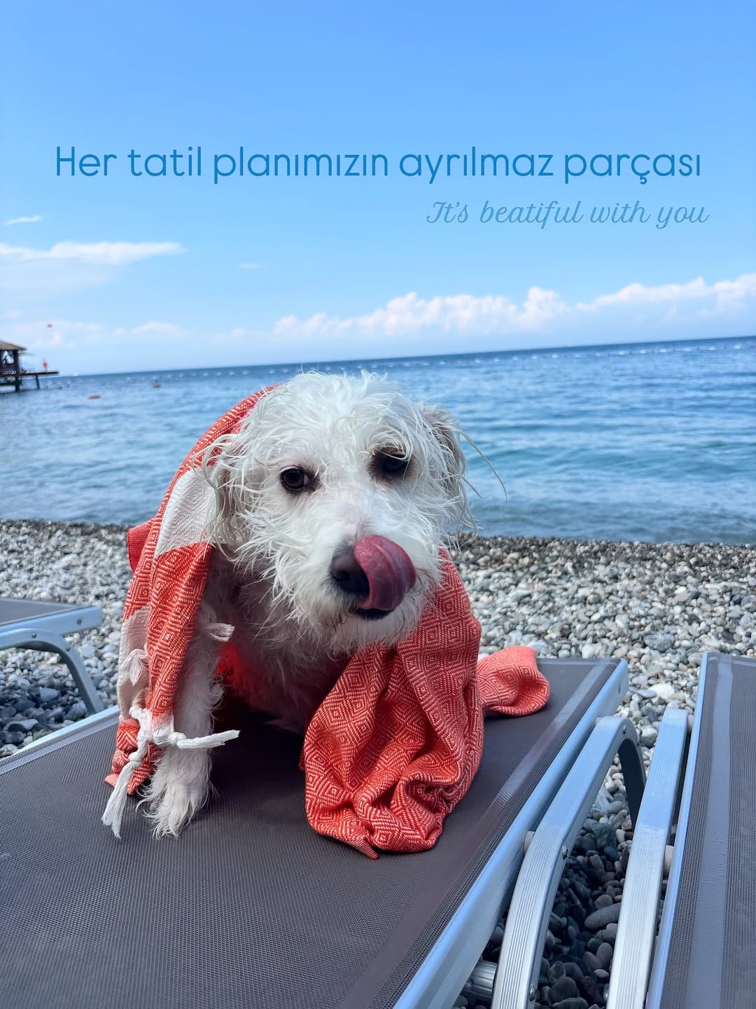 Post 2 by Esra Taşkın on Instagram (carousel)