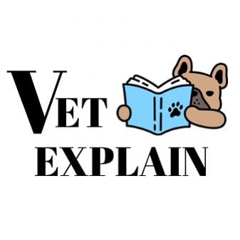 Post 10 by VetExplain on Instagram (image)