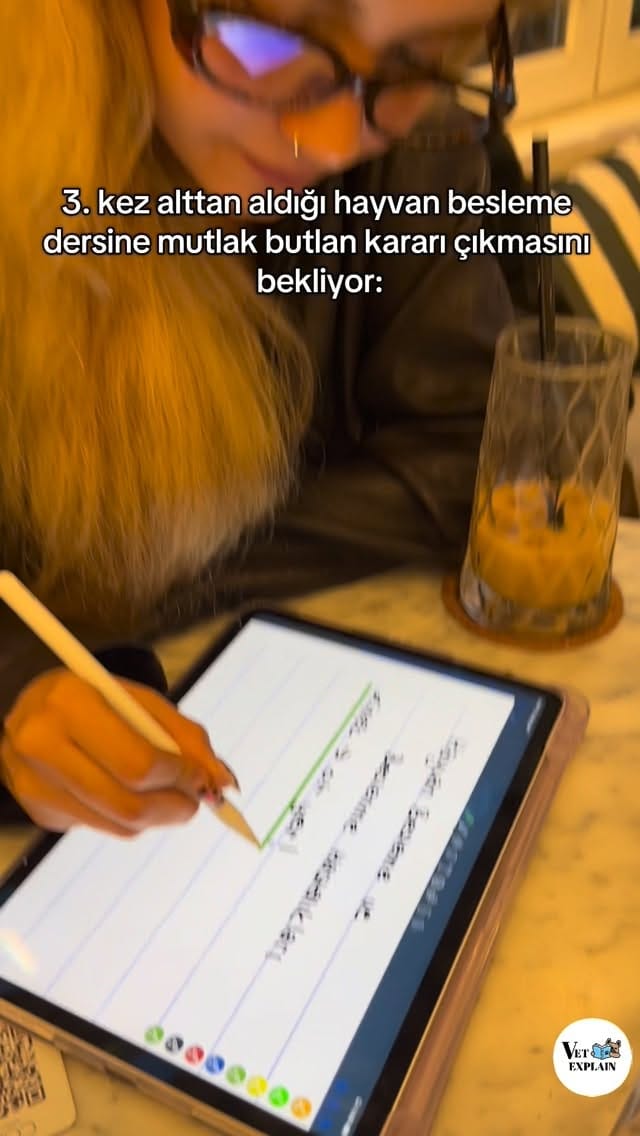 Post 4 by VetExplain on Instagram (video)