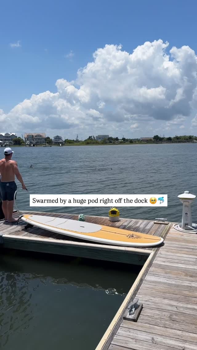 Post 8 by Caroline Holman, Wilmington Realtor 🏡 on Instagram (video)