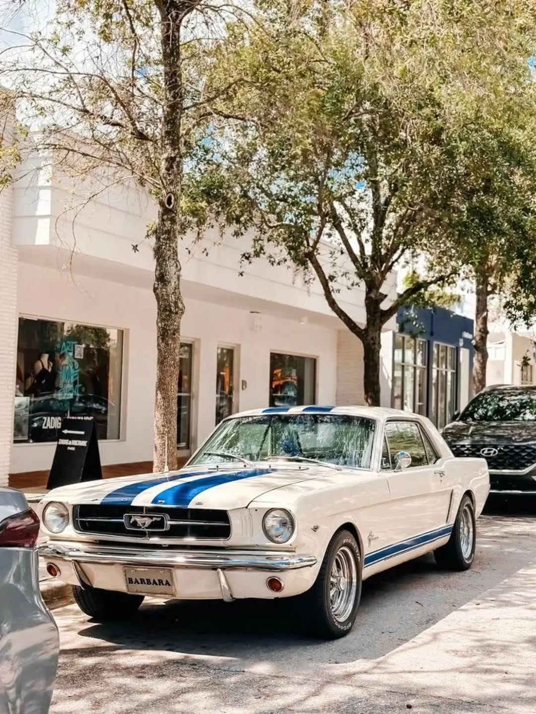 Post 3 by CARS OF INDIA 🇮🇳 on Instagram (image)