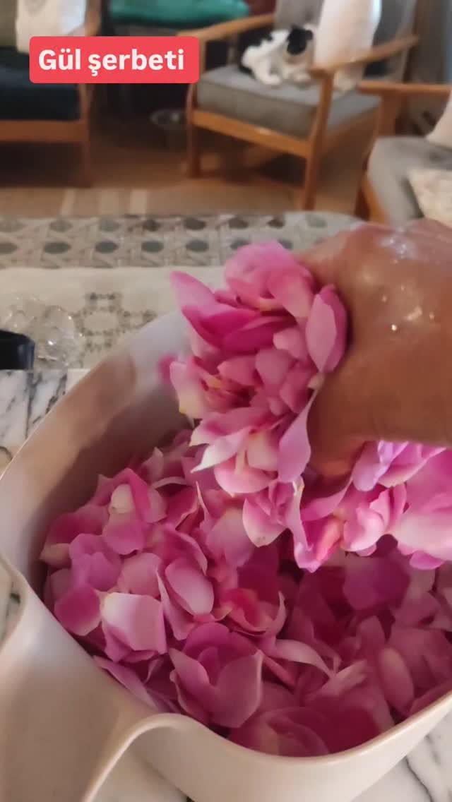 Post 5 by Hale Seven on Instagram (video)