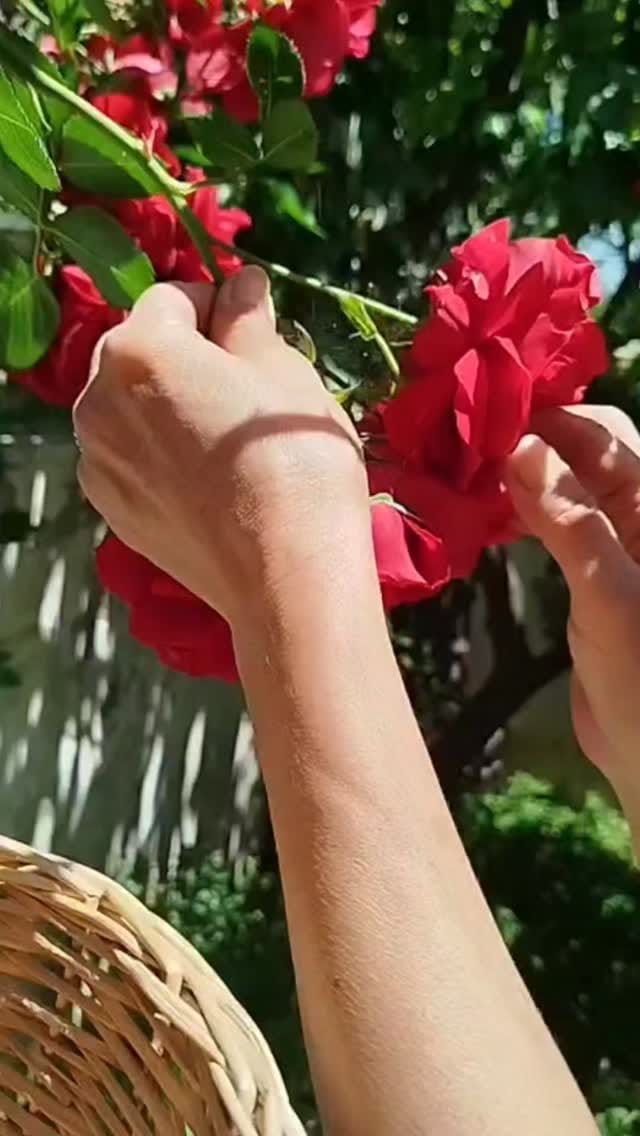 Post 6 by Hale Seven on Instagram (video)