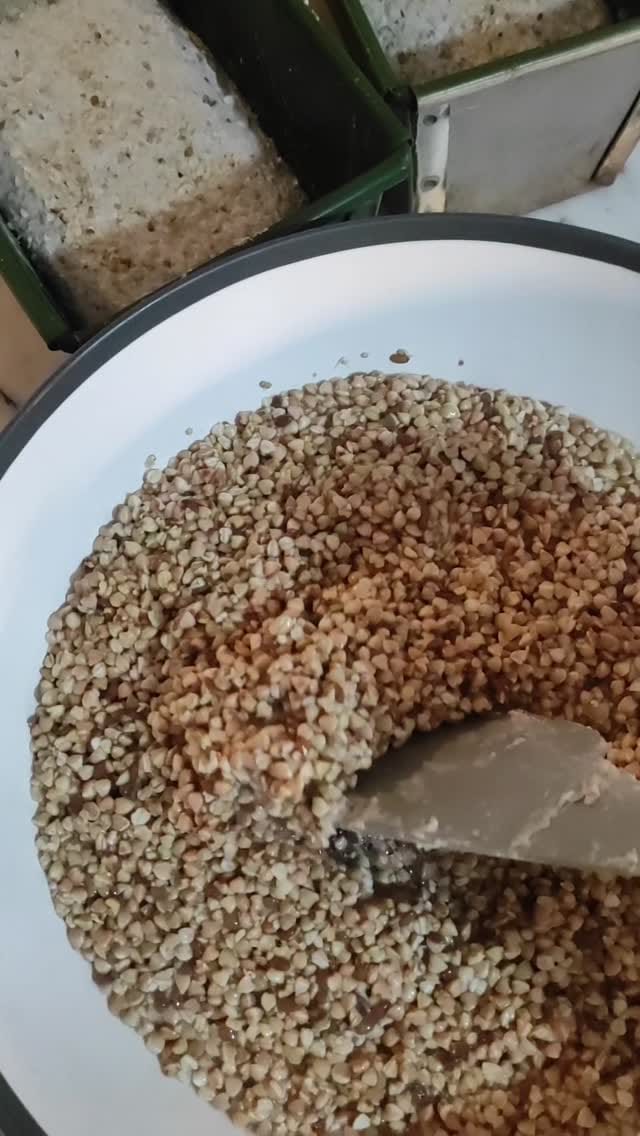 Post 7 by Hale Seven on Instagram (video)