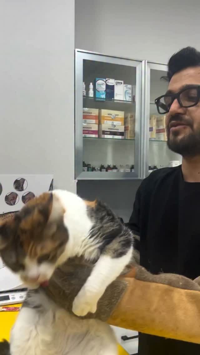 Post 2 by Dante Veteriner Kliniği on Instagram (video)
