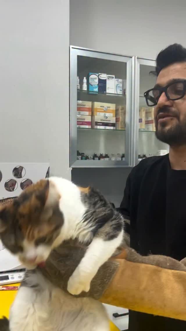 Post 1 by Dante Veteriner Kliniği on Instagram (video)