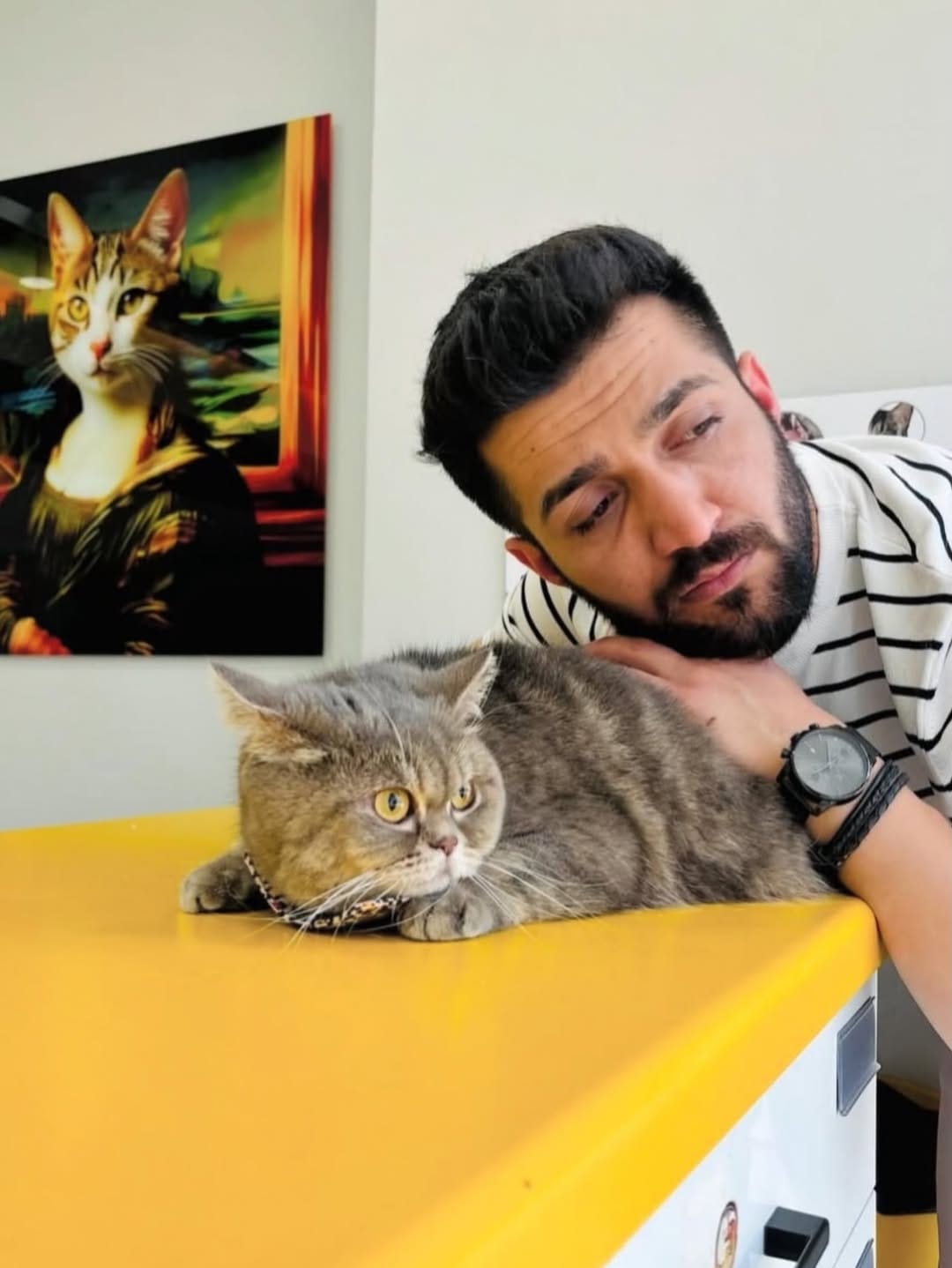 Post 6 by Dante Veteriner Kliniği on Instagram (carousel)