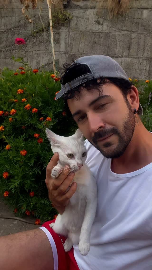 Post 5 by A Ufuk Işık🎶🐾 on Instagram (video)