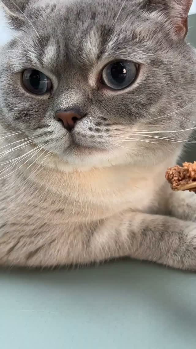 Post 5 by Doruk Demirci on Instagram (video)