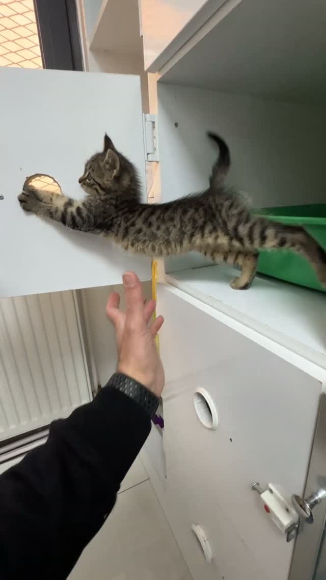 Post 6 by Doruk Demirci on Instagram (video)