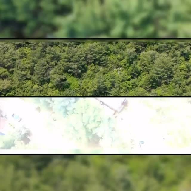 Post 1 by PanUrla Wooden House on Instagram (video)