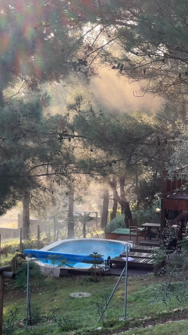 Post 6 by PanUrla Wooden House on Instagram (video)