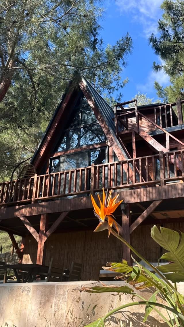 Post 3 by PanUrla Wooden House on Instagram (video)