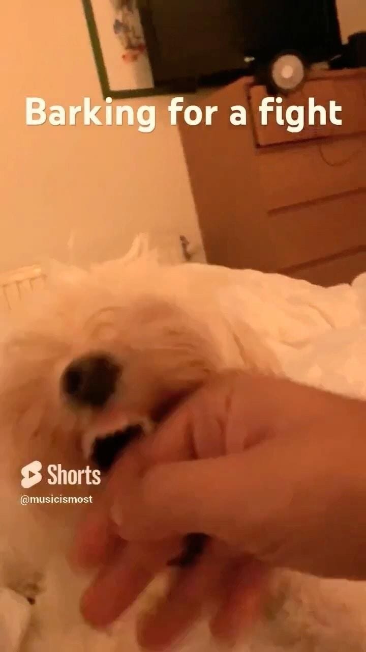 Post 3 by musicismost on Instagram (video)
