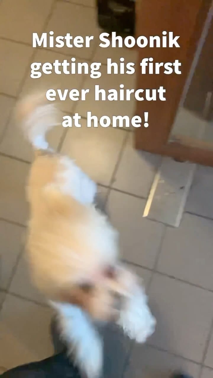 Post 4 by musicismost on Instagram (video)