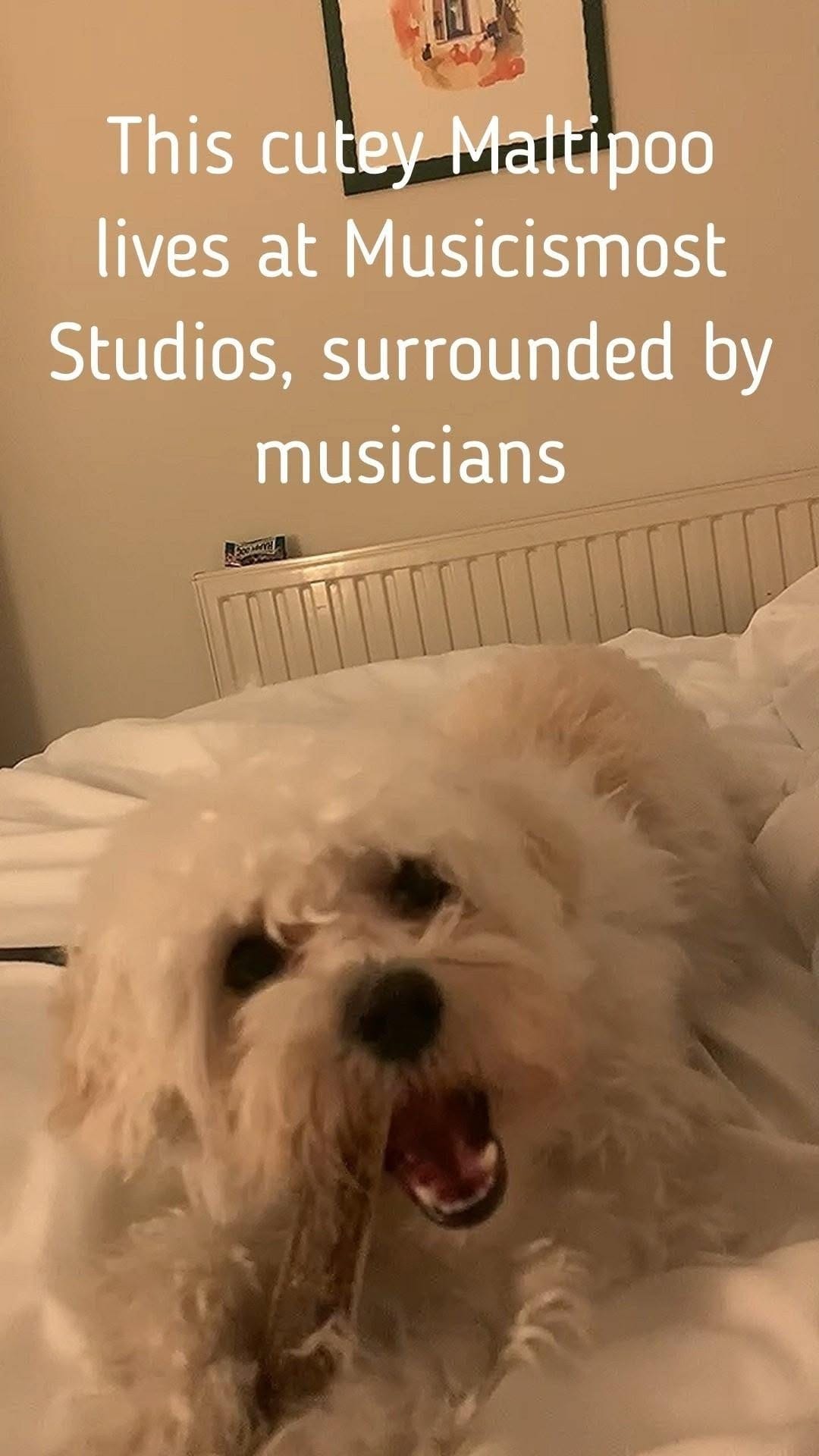 Post 9 by musicismost on Instagram (video)