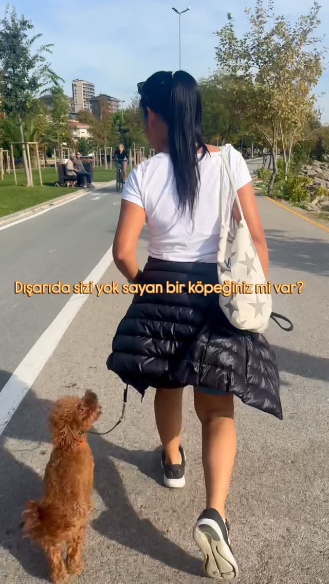 Post 6 by Semin Dönmez on Instagram (video)