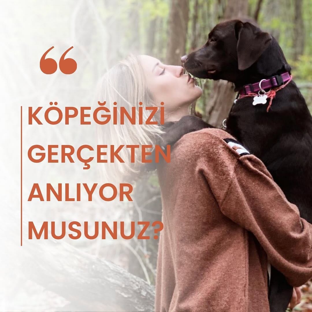 Post 9 by Semin Dönmez on Instagram (carousel)