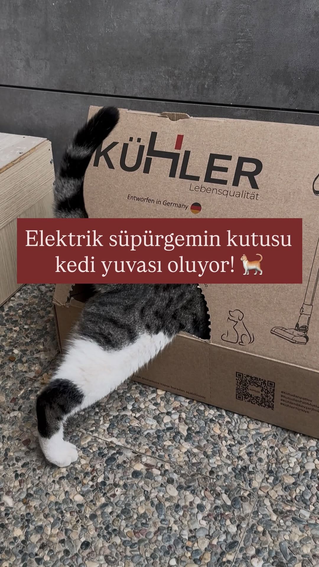 Post 5 by Semin Dönmez on Instagram (video)