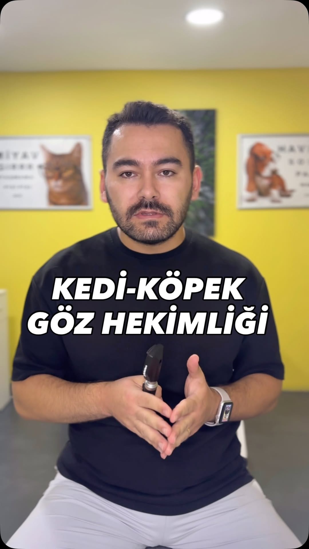 Post 3 by Vet.Hek.Erdi Akyürek | Kedi-Köpek Göz Hastalıkları on Instagram (video)