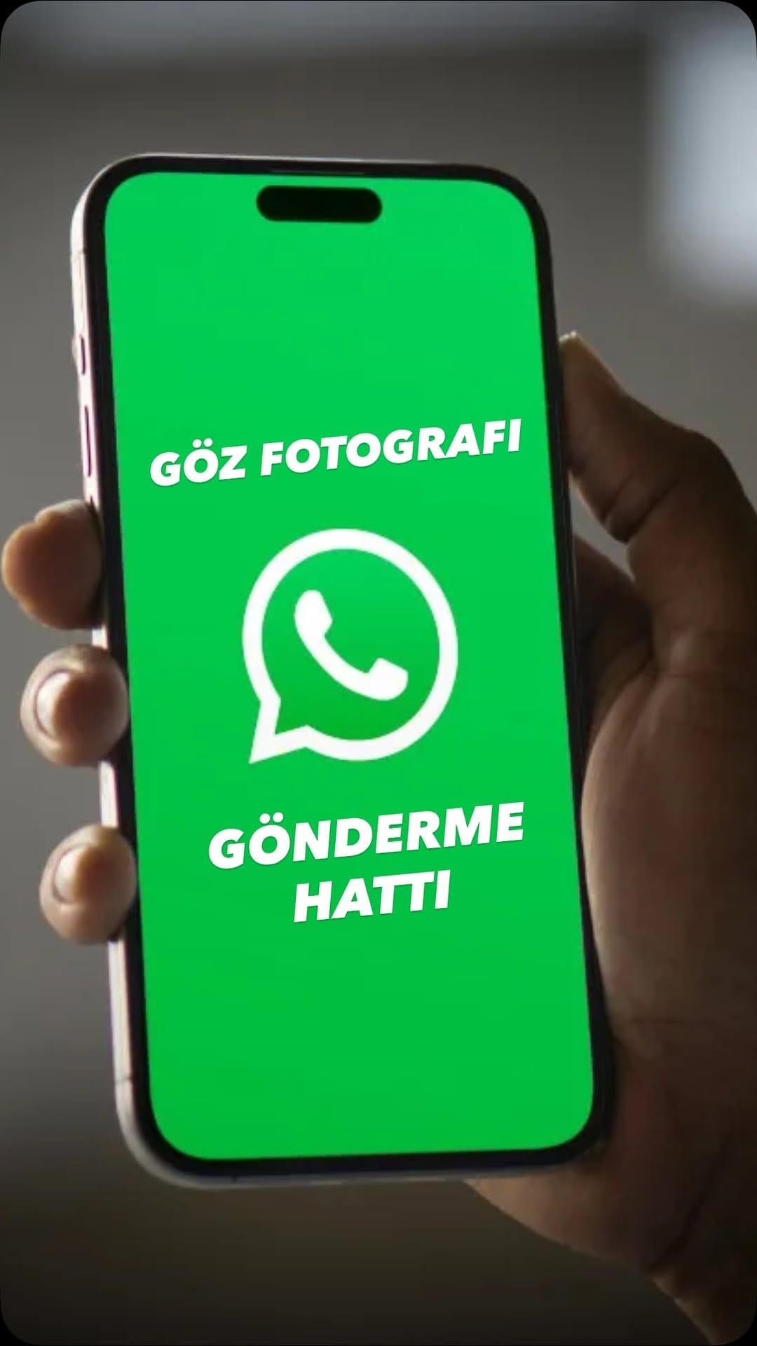 Post 9 by Vet.Hek.Erdi Akyürek | Kedi-Köpek Göz Hastalıkları on Instagram (video)