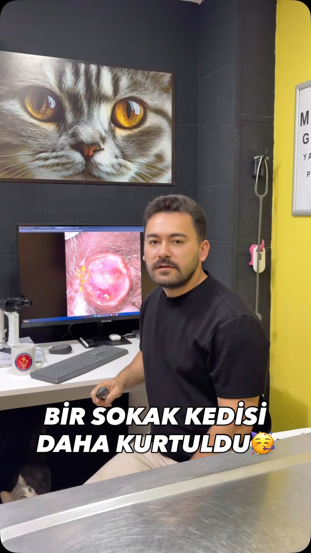 Post 7 by Vet.Hek.Erdi Akyürek | Kedi-Köpek Göz Hastalıkları on Instagram (video)