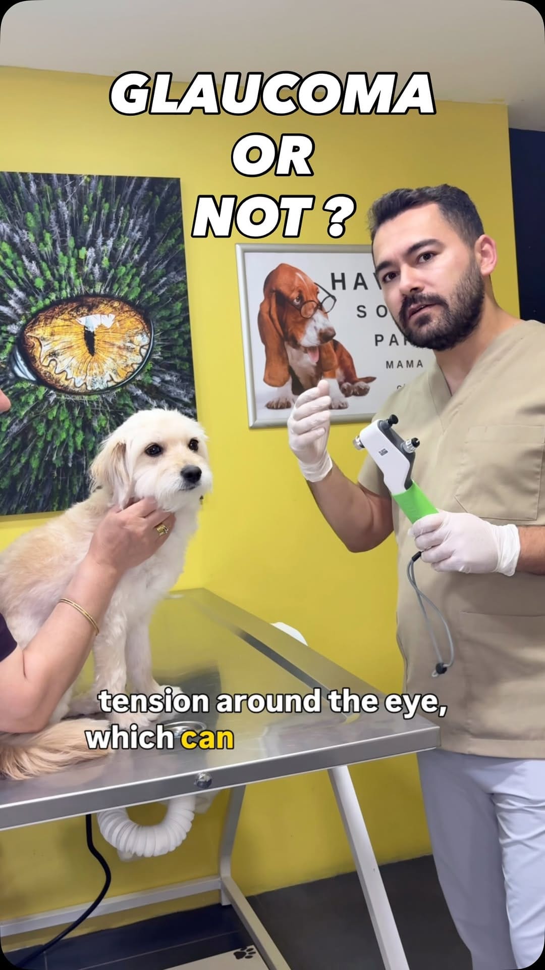 Post 1 by Vet.Hek.Erdi Akyürek | Kedi-Köpek Göz Hastalıkları on Instagram (video)