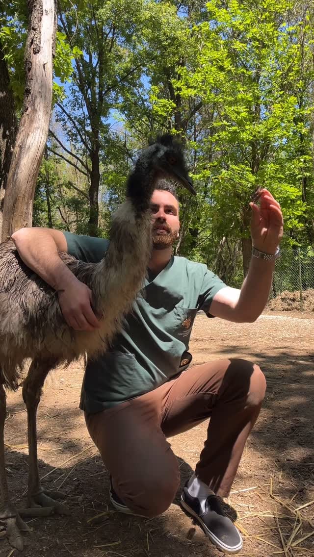 Post 8 by Ebuderda Günay on Instagram (video)