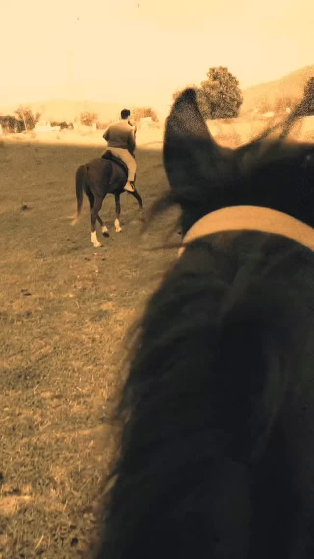 Post 3 by Saif Pro on Instagram (video)