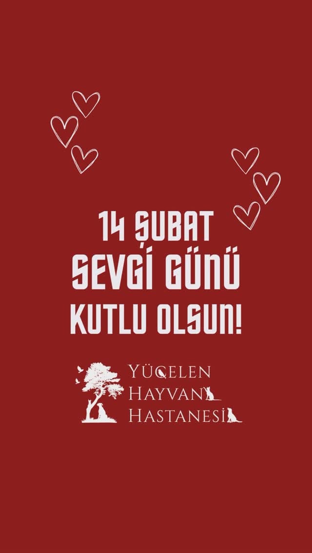 Post 8 by Yücelen Hayvan Hastanesi on Instagram (video)