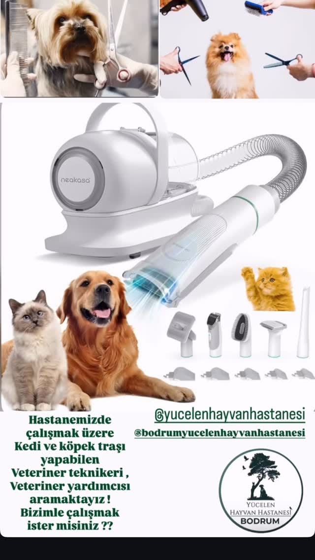 Post 3 by Yücelen Hayvan Hastanesi on Instagram (video)