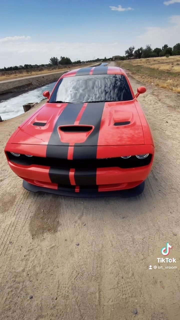 Post 4 by 🏎🚨Ꮲ’Ꮓ ᎳᎾᏒᏞᎠ 🌏🦁 on Instagram (video)