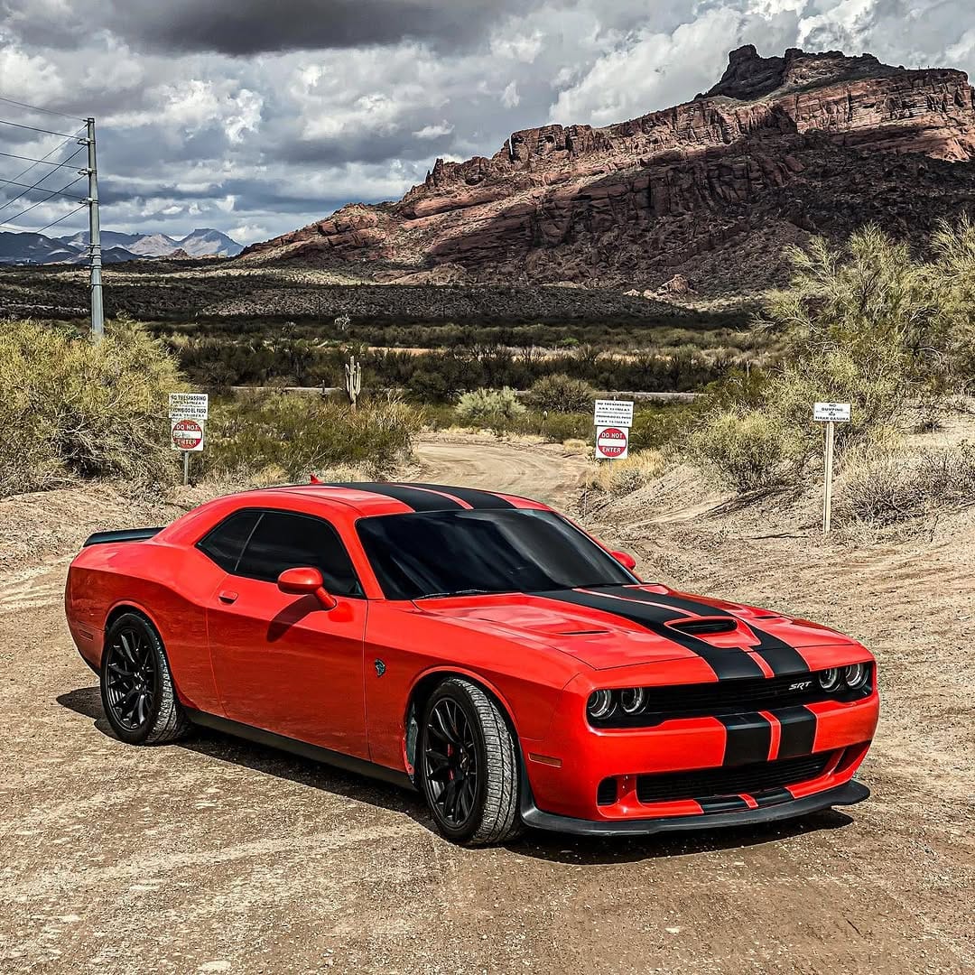 Post 8 by 🏎🚨Ꮲ’Ꮓ ᎳᎾᏒᏞᎠ 🌏🦁 on Instagram (carousel)