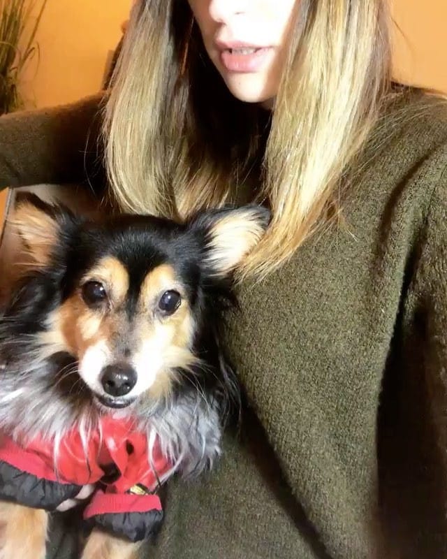 Post 10 by Pıtır & Eva on Instagram (video)