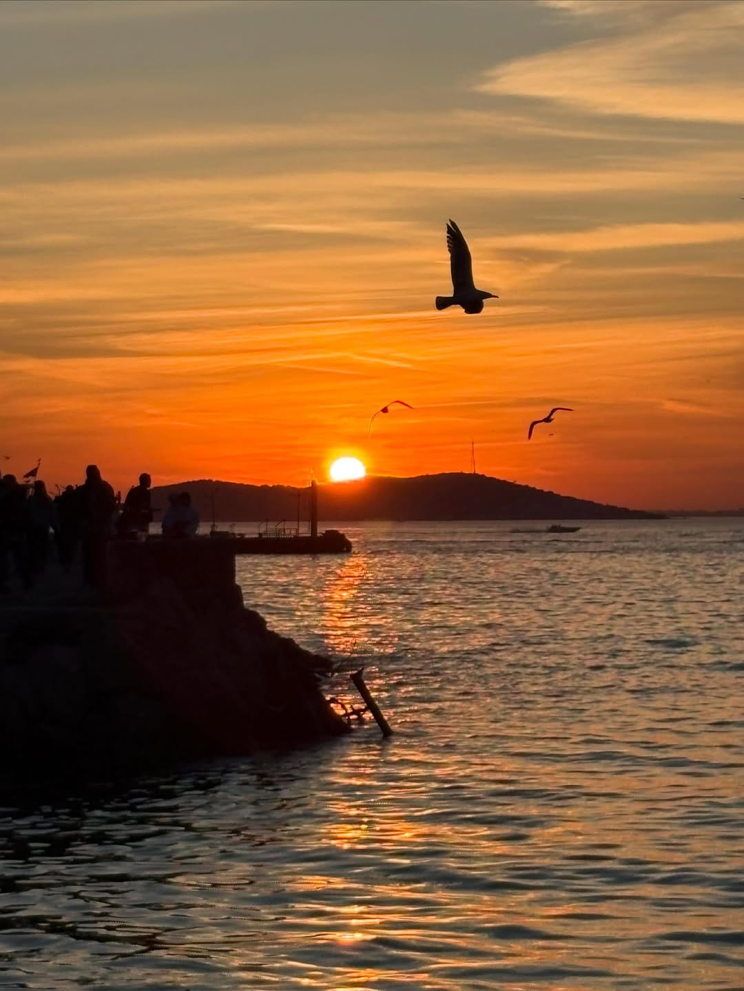 Post 9 by Elvan Boran on Instagram (image)