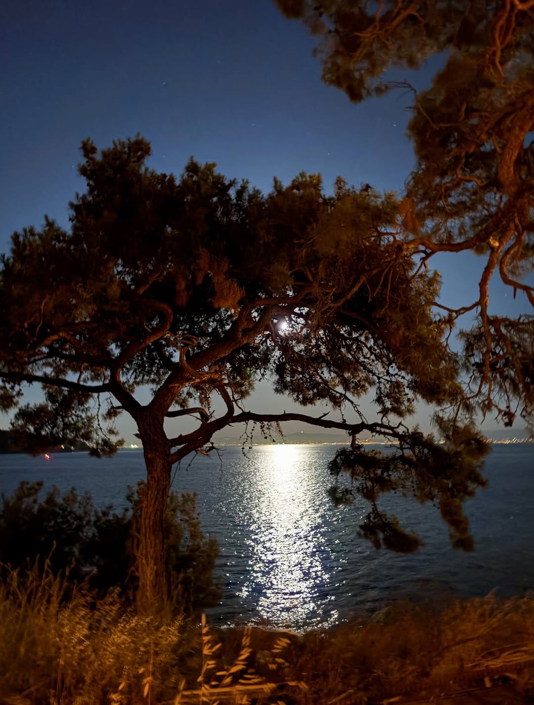 Post 2 by Elvan Boran on Instagram (carousel)
