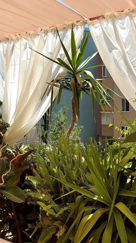 Post 3 by Elif Engin on Instagram (video)