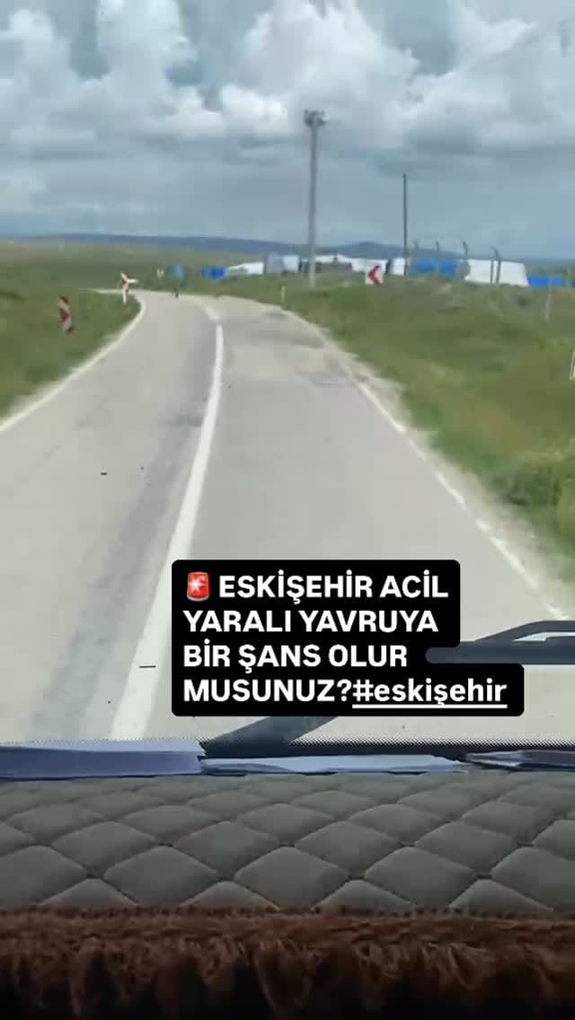 Post 5 by Esranın Patileri on Instagram (video)