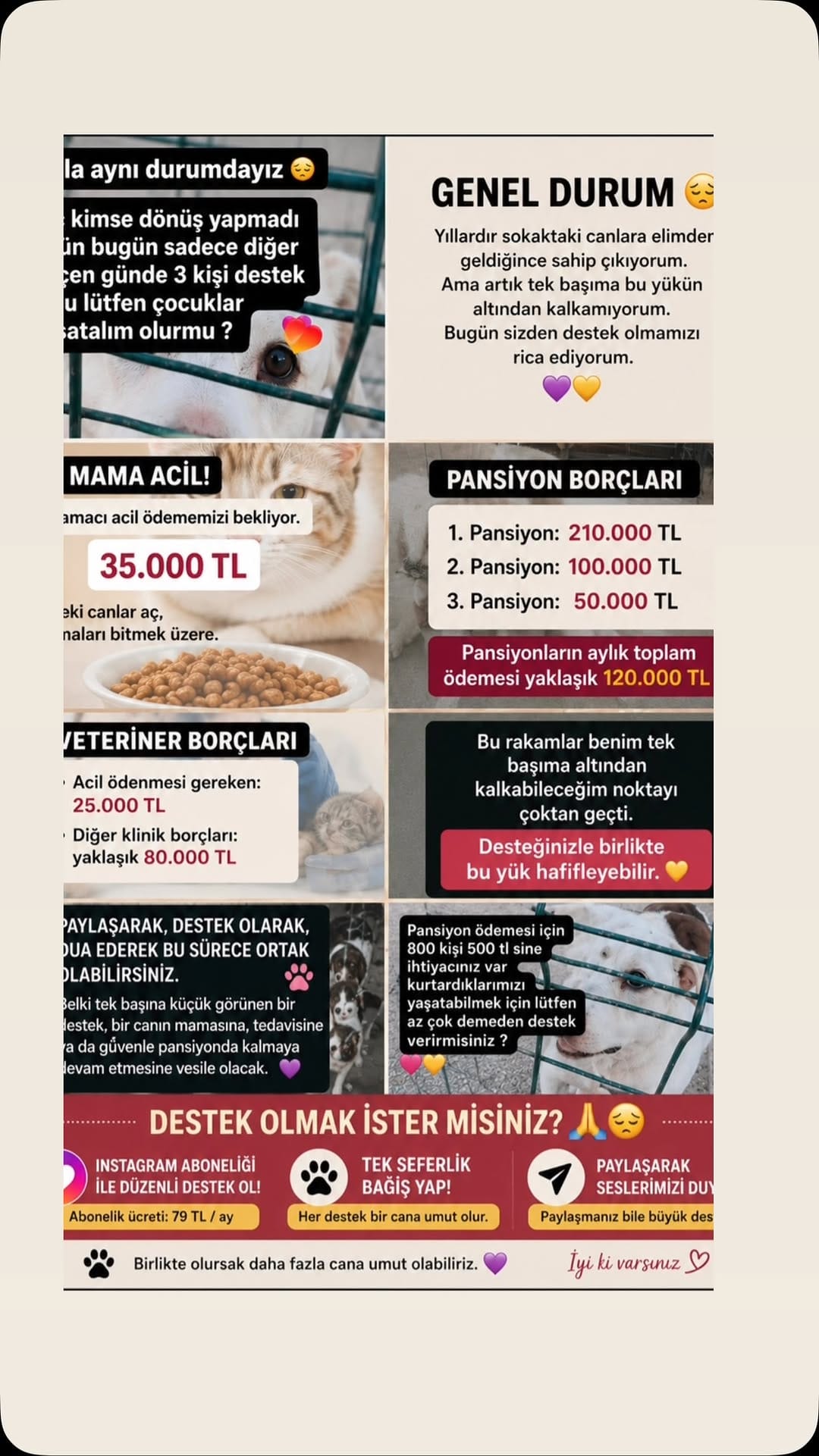 Post 1 by Esranın Patileri on Instagram (video)