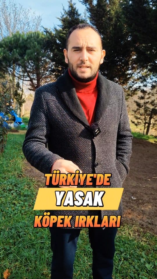 Post 9 by Anıl HARTAMACI on Instagram (video)